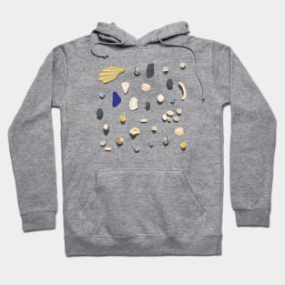 Beachcombing Hoodie